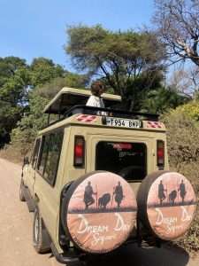 anzania safari from zanzibar-wildlife in best safaris