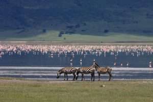 3 Day Tanzania Safari from -ngorongoro-crater-safari-tanzaniaZanzibar-safari-crater