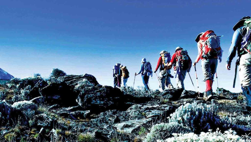 9 Days Northern Circuit Route-climbers trekking mount kilimanjaro during kilimanjaro climbing package