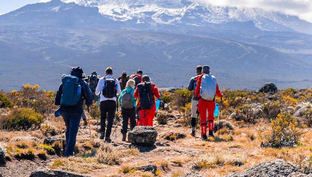 6 Days Rongai Route Kilimanjaro Climb-dream day safaris