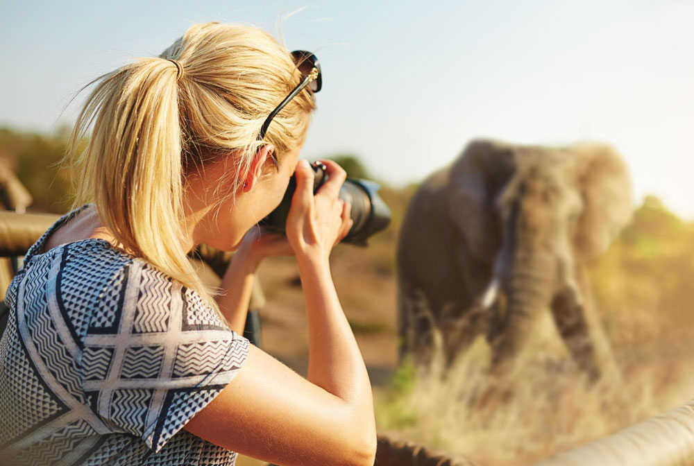 Tanzania Safari from Zanzibar-Tourist photographing elephants during a 3 day Tanzania safari in Tarangire National Park