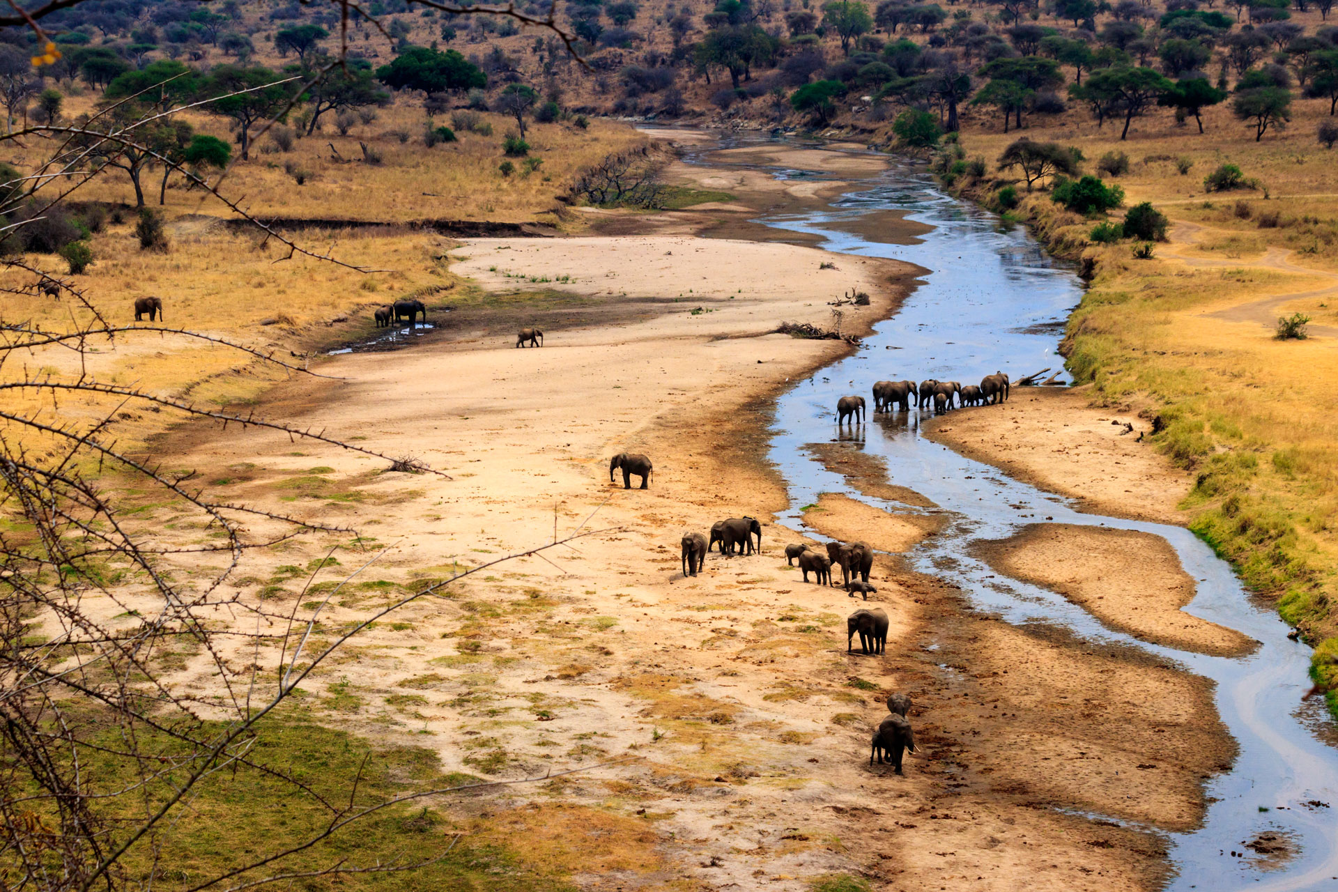 Classic Tanzania Safari Tours-Tanzania-Safari-5-Honeymoon Tours-Tarangire-National-Park