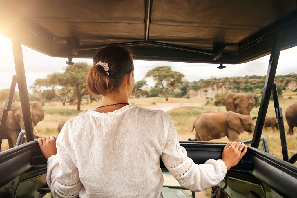 Classic Tanzania Safari Tours-Safari from Zanzibar-fly in safari from zanzibar to serengeti national park wildlife safari