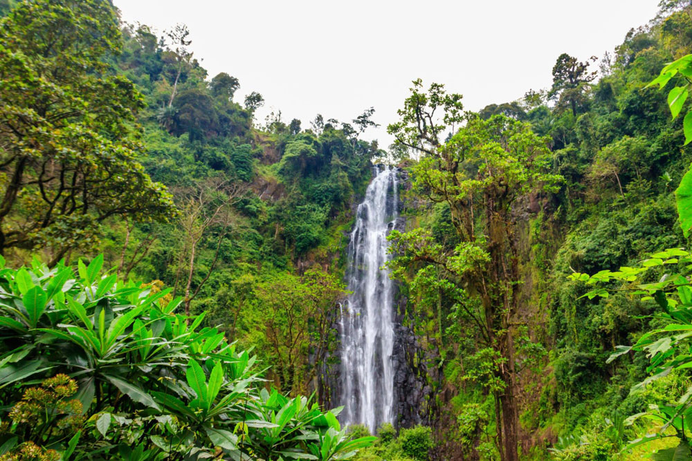 Tanzania Travel Activities-Mataruni-Waterfalls-Tanzania-Safari-Day-Trip-1