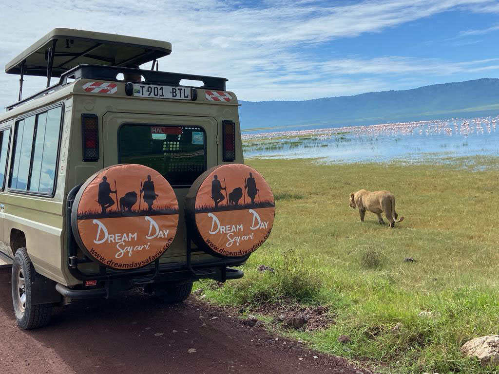 Tanzania Safari from Zanzibar – Private Fly-In Safari Tours in Tanzania-on a 3 Day Tanzania Safari