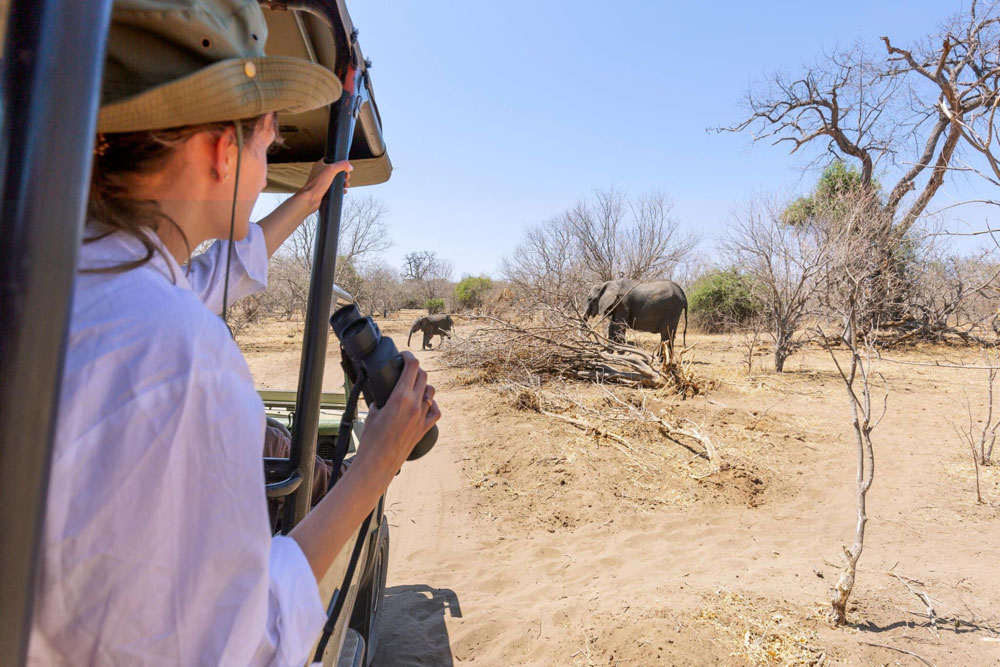 Tanzania Safari from Zanzibar-wildlife-safari-Tanzania-safari-Experience-custom tanzania safaris private and group tours