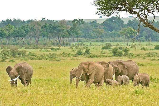10 Day Tanzania Safari and Cultural Experience