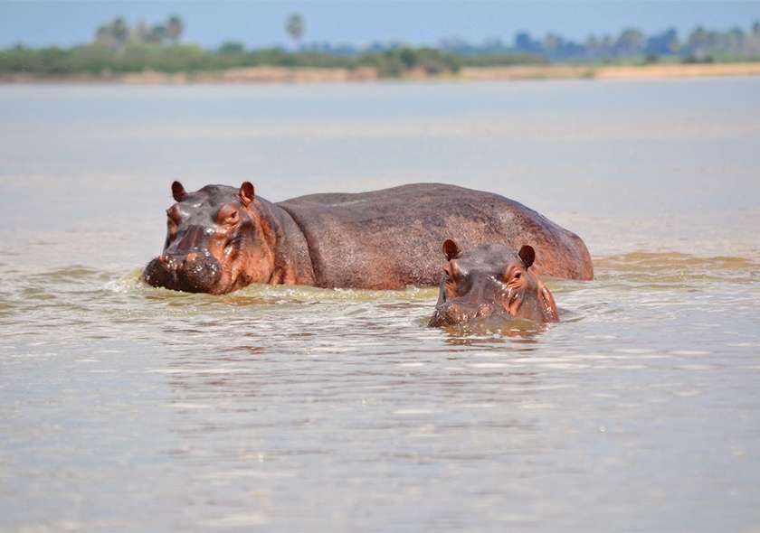 5 Day Tanzania Safari from Zanzibar-hipo-crater
