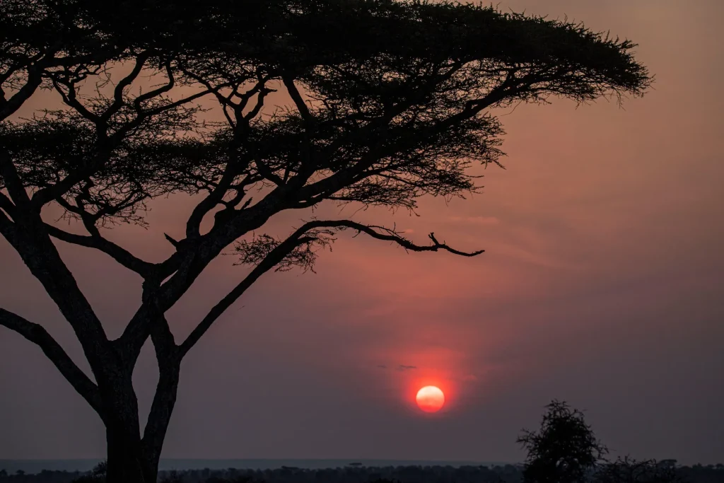 custom tanzania safaris private and group tours-3-Day Fly-In Safari to Serengeti