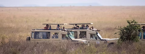 6-Day Tanzania Safari from Zanzibar-6-Day Tanzania Safari from Zanzibar