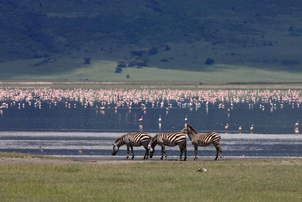 3 Day Tanzania Safari from -ngorongoro-crater-safari-tanzaniaZanzibar-safari-crater