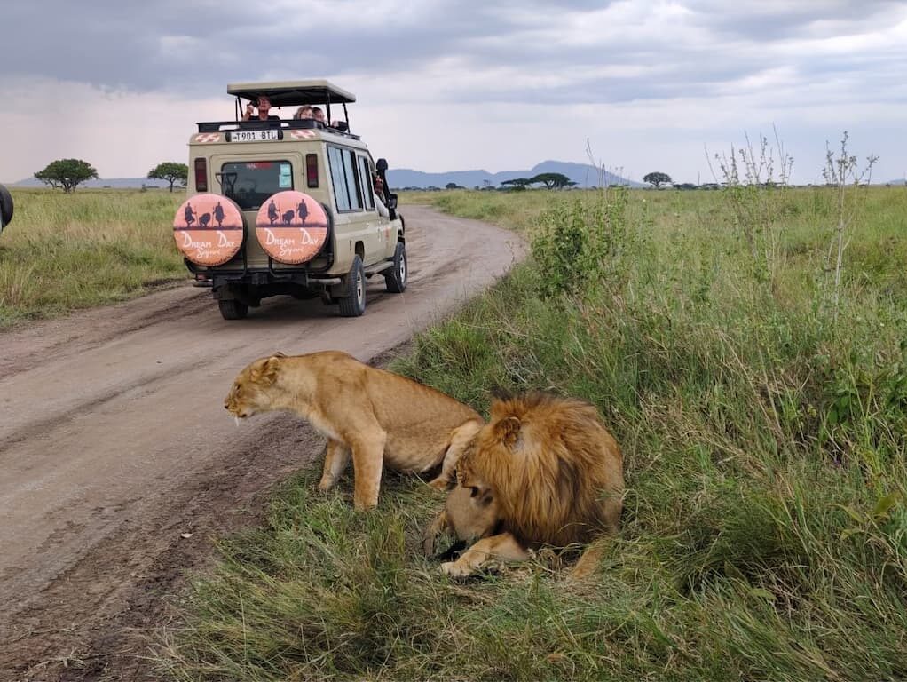 Tanzania Safari from Zanzibar– Private Fly-In Safari Tours in Tanzania