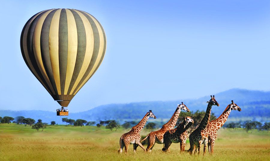 3 Days Serengeti balloon Safari